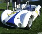 Maserati Tipo 61 lub Maserati Birdcage, samochodów wyścigowych, produkowane w 1960