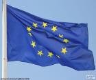 Flaga europejska składa się z dwunastu złotych gwiazd ułożone w okrąg na niebieskim tle. Zaprojektowany przez Arsène Heitz w 1955