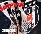 Besiktas JK jest mistrzem Süper Lig 2016-2017, jego 15 tytuł mistrzowski