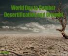 Światowy dzień walki z pustynnieniem