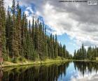 Lake Irene, Stany Zjednoczone