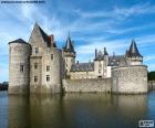 Zamek w Sully-sur-Loire, Francja