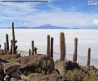 Salar de Uyuni w Boliwii