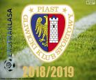 Piast Gliwice, mistrz 2018 2019 r.