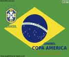 Brazylia, mistrz Copa America 2019
