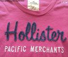 T-shirt z hollisterem