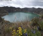 Quilotoa Lagoon jest jedną z najpiękniejszych lagun wulkanicznych na świecie, znajduje się w Ekwadorze Andy