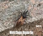 Światowy Dzień Choroby Chagasa