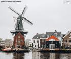 Adriaan Mill, Haarlem, Holandia