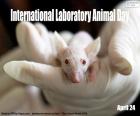 Międzynarodowy Dzień Zwierząt Laboratoryjnych