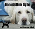 Międzynarodowy Dzień Psa Przewodnika