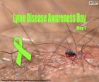 Dzień Świadomości Choroby z Lyme