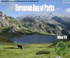 Europejski Dzień Parków