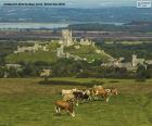 Zamek Corfe, Anglia