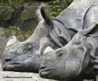 Dwa nosorożce odpoczywające