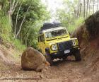 Land Rover Defender Żółty