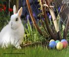 Biały królik i pisanki