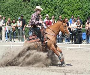 Układanka Reining - Western riding - Ride Cowboy