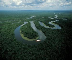 Układanka Rio Amazonas, w kompleksie ochrony Środkowej Amazonki, Brazylia