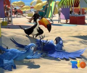 Układanka Rio film z jej trzech bohaterów: ary Blu, Jewel i tucan Rafael na plaży