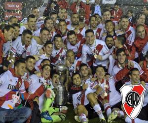 Układanka River Plate, Copa Libertadores 2015