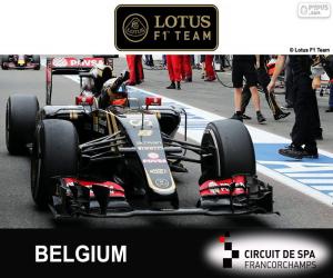 Układanka Romain Grosjean, GP Belgii 2015