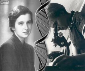 Układanka Rosalind Franklin (1920-1958), pionieer w dziedzinie badań DNA