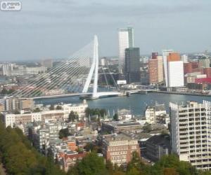 Układanka Rotterdam, Holandia