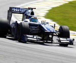 Układanka Rubens Barrichello - Williams - Interlagos 2010