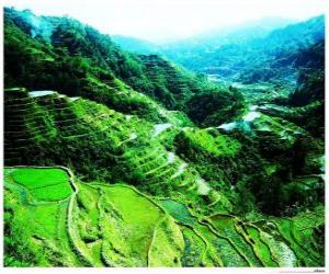 Układanka Ryż Tarasy filipińskie Cordilleras