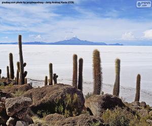 Układanka Salar de Uyuni w Boliwii