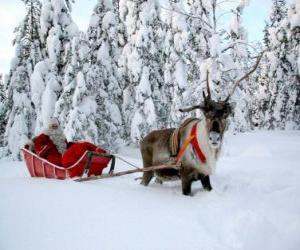 Układanka Santa Claus w jego sanie z reniferami na śniegu