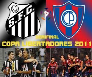 Układanka Santos FC - Cerro Porteño. Copa Libertadores 2011 Półfinał