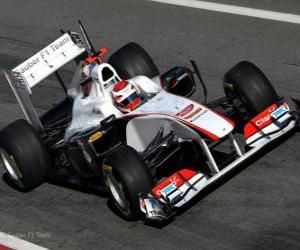 Układanka Sauber C30 - 2011 -