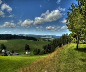 Układanka Schwarzwald Landscape