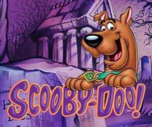 Układanka Scooby Doo z logo