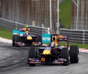 Układanka Sebastian Vettel, Mark Webber - Red Bull - Sepang 2010