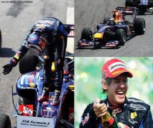 Układanka Sebastian Vettel świętuje swoje zwycięstwo w Grand Prix Brazylii (2010)