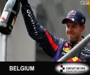 Układanka Sebastian Vettel świętuje swoje zwycięstwo w Grand Prix Belgii 2013
