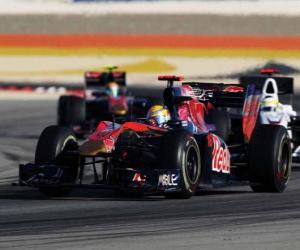 Układanka Sebastien Buemi - Toro Rosso - Bahrajn 2010