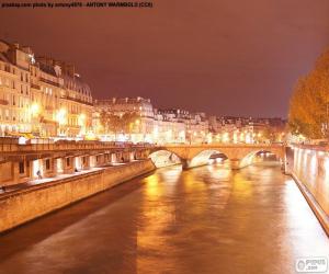 Układanka Sekwany w nocy, Paryż