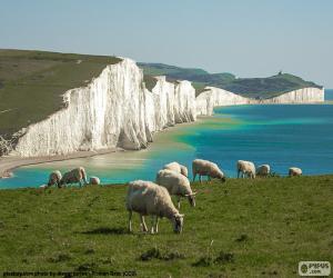 Układanka Seven Sisters, Anglia