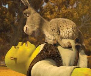 Układanka Shrek i Osioł, patrząc na