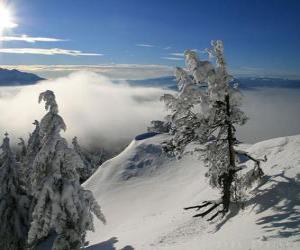 Układanka Snowy góry w Poiana Brasov, Rumunia