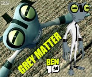 Układanka Szara Materia i Grey Matter, Ben 10
