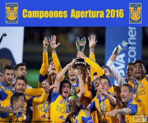 Układanka Tigres UANL, Apertura 2016