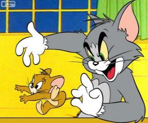 Układanka Tom cat złapać mysz Jerry