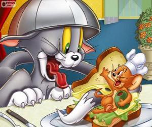 Układanka Tom i Jerry w innym ich konfliktów
