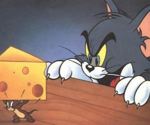 Układanka Tom kota zaskoczony Jerry myszy biorąc kawałek sera