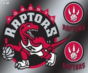 Układanka Toronto Raptors logo, zespół NBA. Dywizja Atlantycka, Konferencja wschodnia